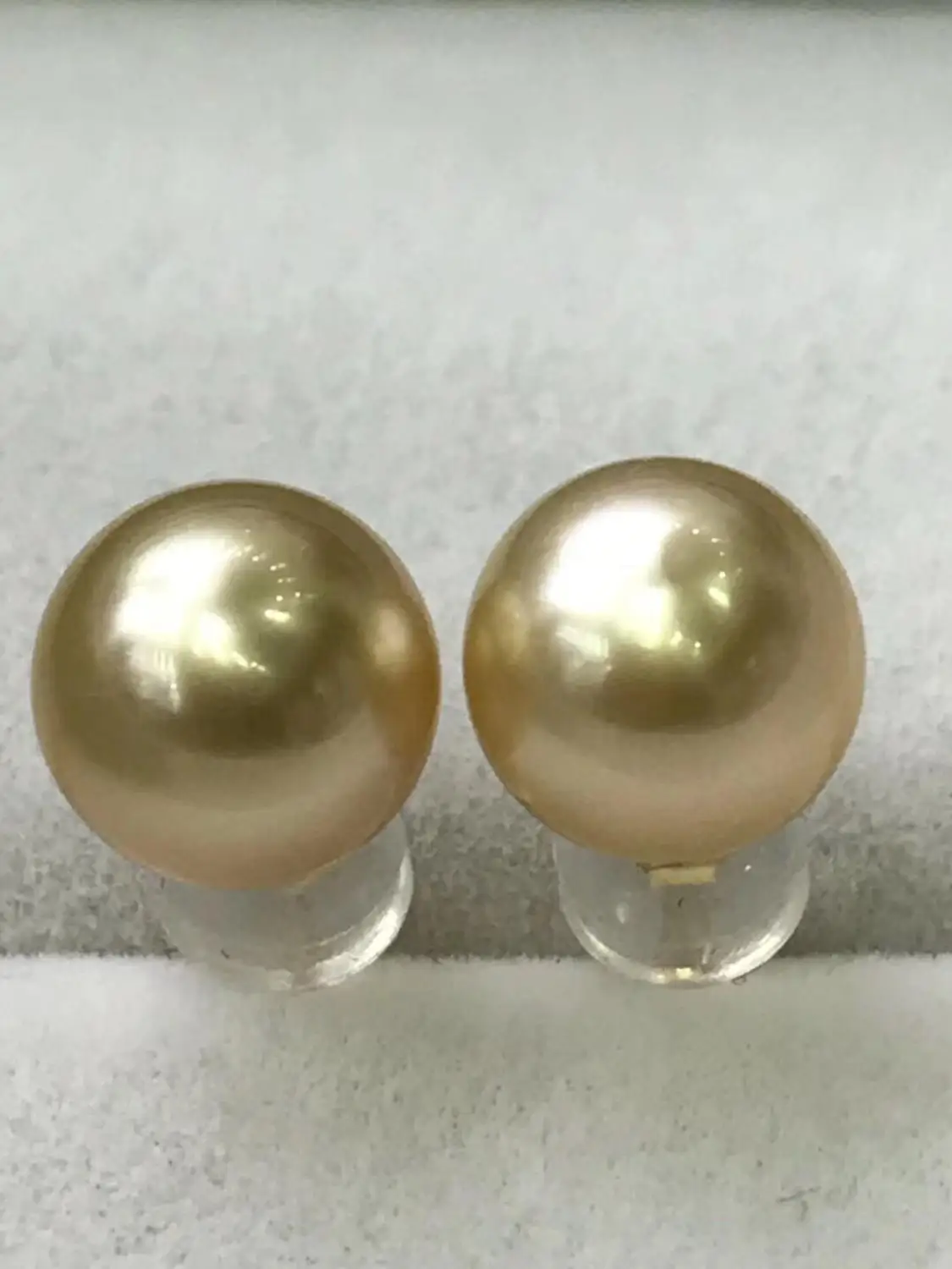 charming pair of 10-11mm south sea round gold pearl earring 18k