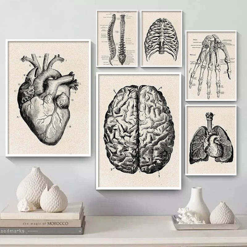 Medical Anatomy Artwork Canvas Art Poster , Vintage Musculoskeletal Skeleton Lung Heart Wall Painting for Hospital Lab Decor