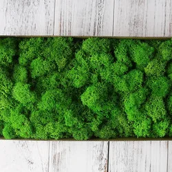 50g/bag High quality artificial green plants immortal fake flower Moss grass home decorative wall DIY flower grass accessories