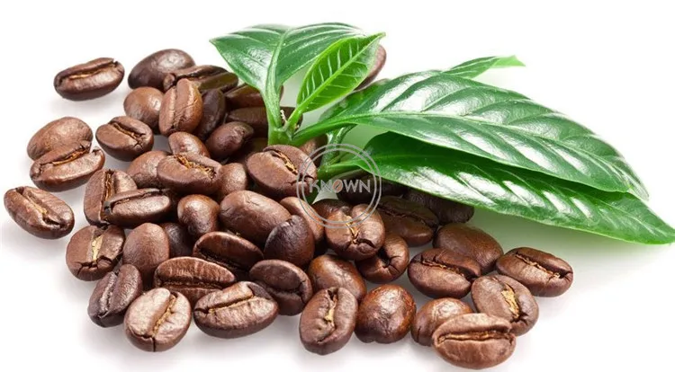 프로 모션 판매 3-5kg/배치 산업 커피 로스터 probat 커피 콩 로스터 판매