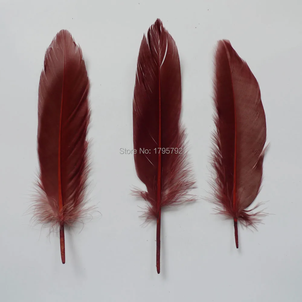 

Wholesale Hard Pole 1000Pcs Brown Goose Feathers For DIY Crafts Swan Plumes 12-18cm Jewelry Wedding Home Accessories Decoration
