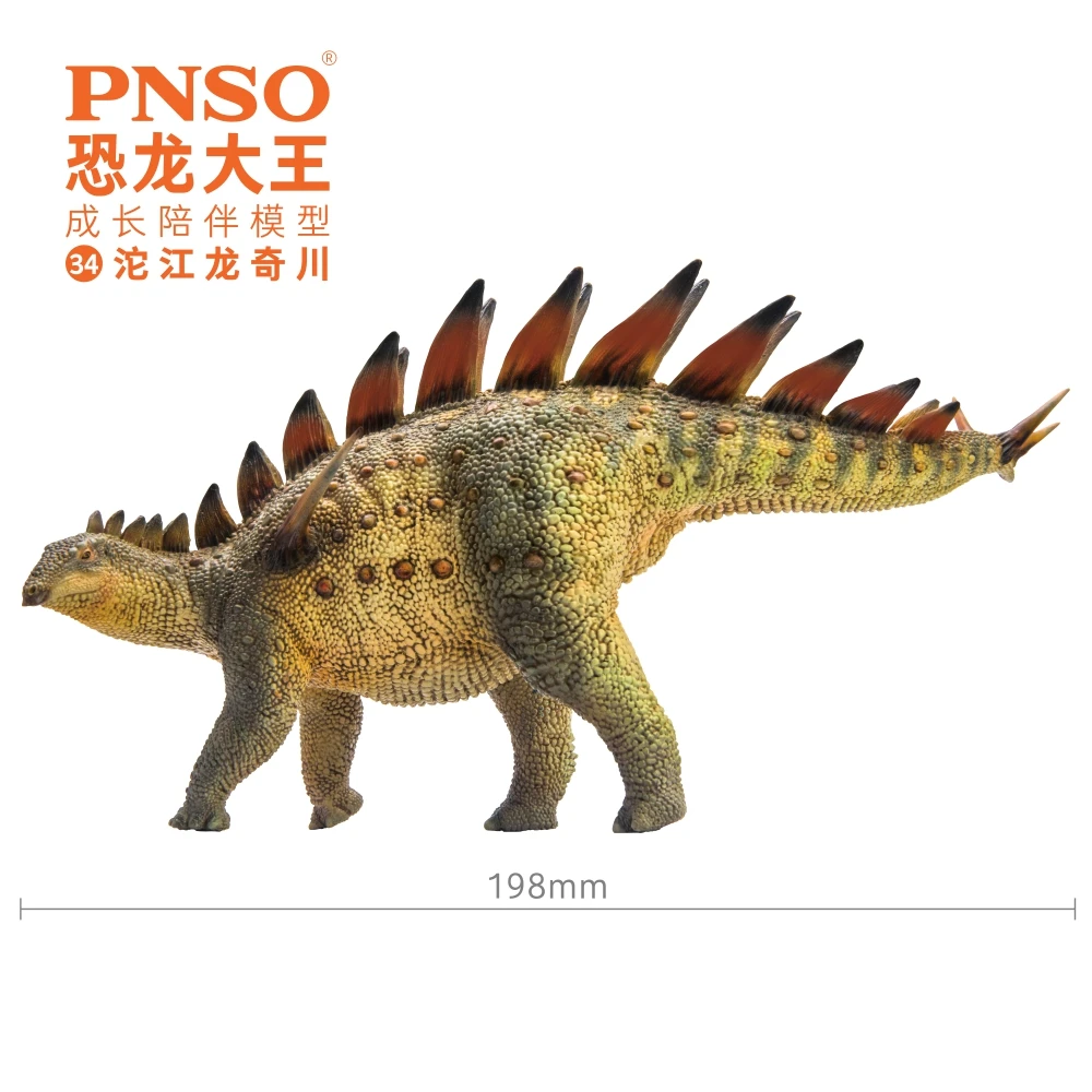 Prehistoryczne modele dinozaurów PNSO: 34Qichuan Tuojiangosaurus