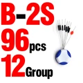 B 2S