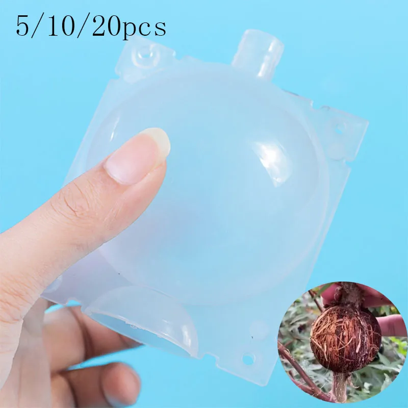 

High-pressure Breeding Fruit Plant Tree Rooting Ball Root Box Plastic Case Transparent Flower Grafting Rooter Growing