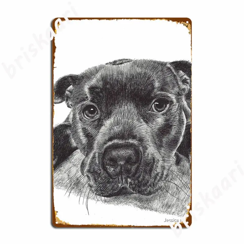 Staffordshire Terrier- Biro Metal Signs Cinema Living Room Cinema create Tin sign Posters