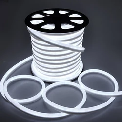 LED Neon Strip 220V EU Waterproof Outdoor Neon Rope 2835 120Leds/m Ribbon Tape Flexible LED Strip Light White/Warm White Lamp