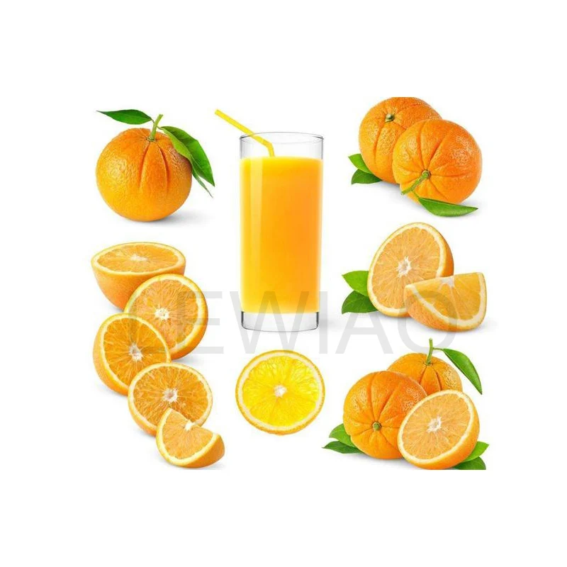 

Electric Automatic Orange Juice Processing Making Machine Pomelo Lemon Juicer