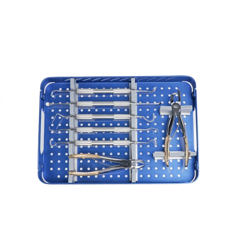 

Competitive Price Dental Instrument Kit Veterinary Surgical Equipment Orthopedic Surgical Instruments for Veterinary Use