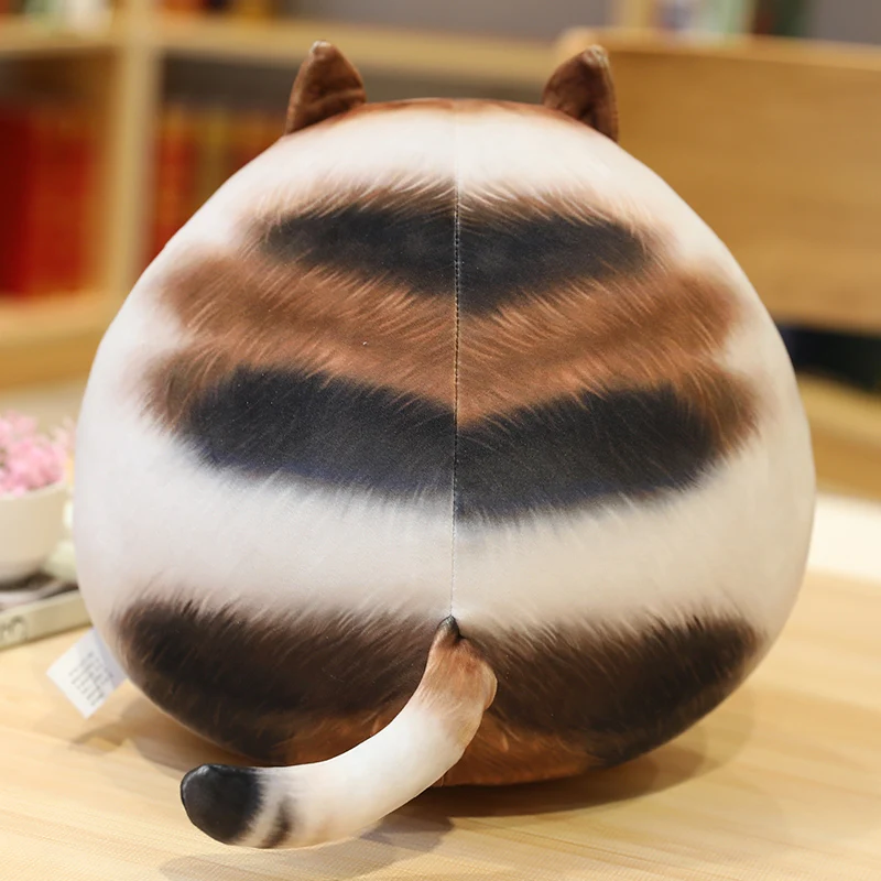Leuke Vet Katten Knuffels Knuffeldier Katten Pop Zacht Kussen Zitkussen Cadeau Voor Kinderen Meisjes Baby
