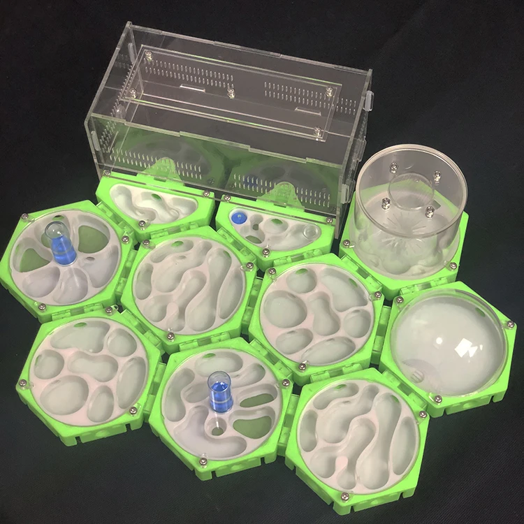 

DIY NEW ant workshop 3D unlimited space station Ant Nest maze,Moisturizing Idea Reptile Terrarium Ants Farm House