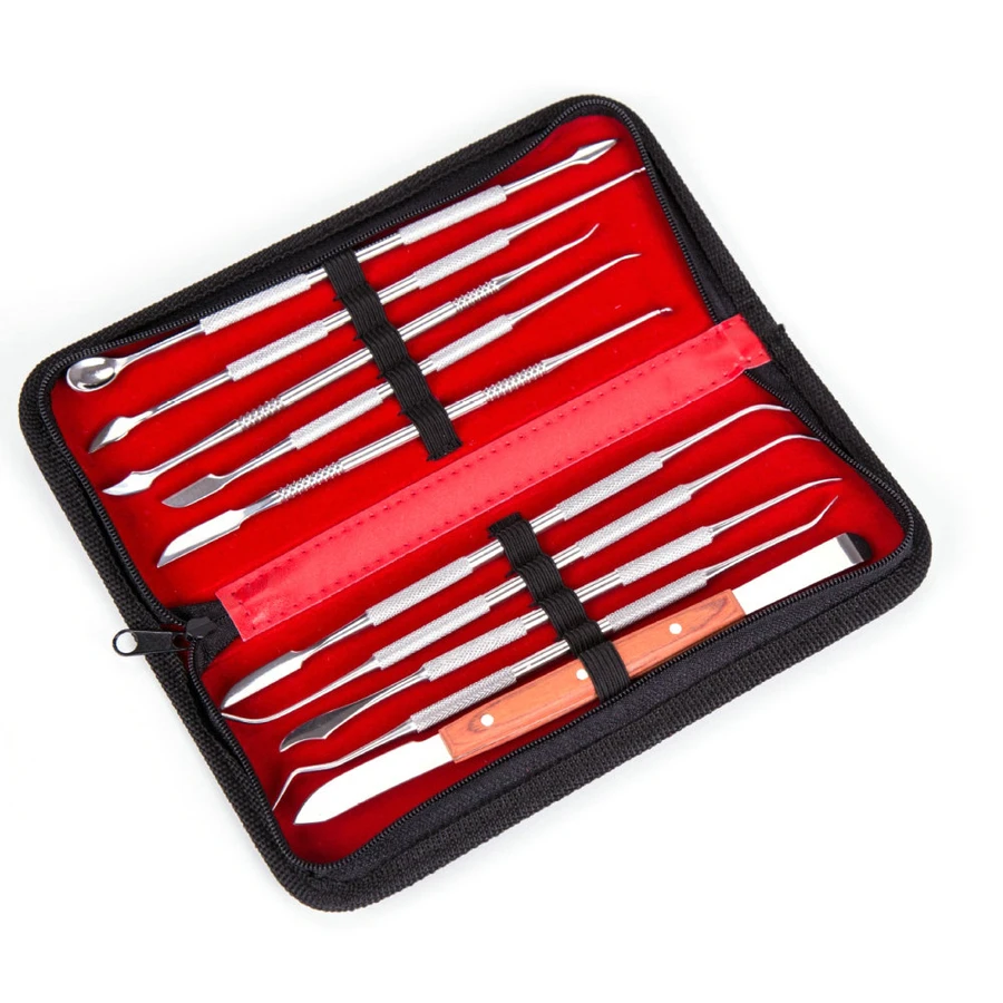 10Pcs Dental Lab Equipment Wax Carving Tools Set for Surgical Dentist Sculpture