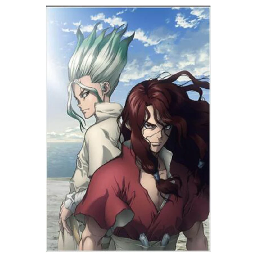 5D Diy Diamond Painting Cross Stitch Kits Diamond Mosaic Embroidery Anime Dr.STONE Ishigami Senku Shishio Tsukasa WG2686