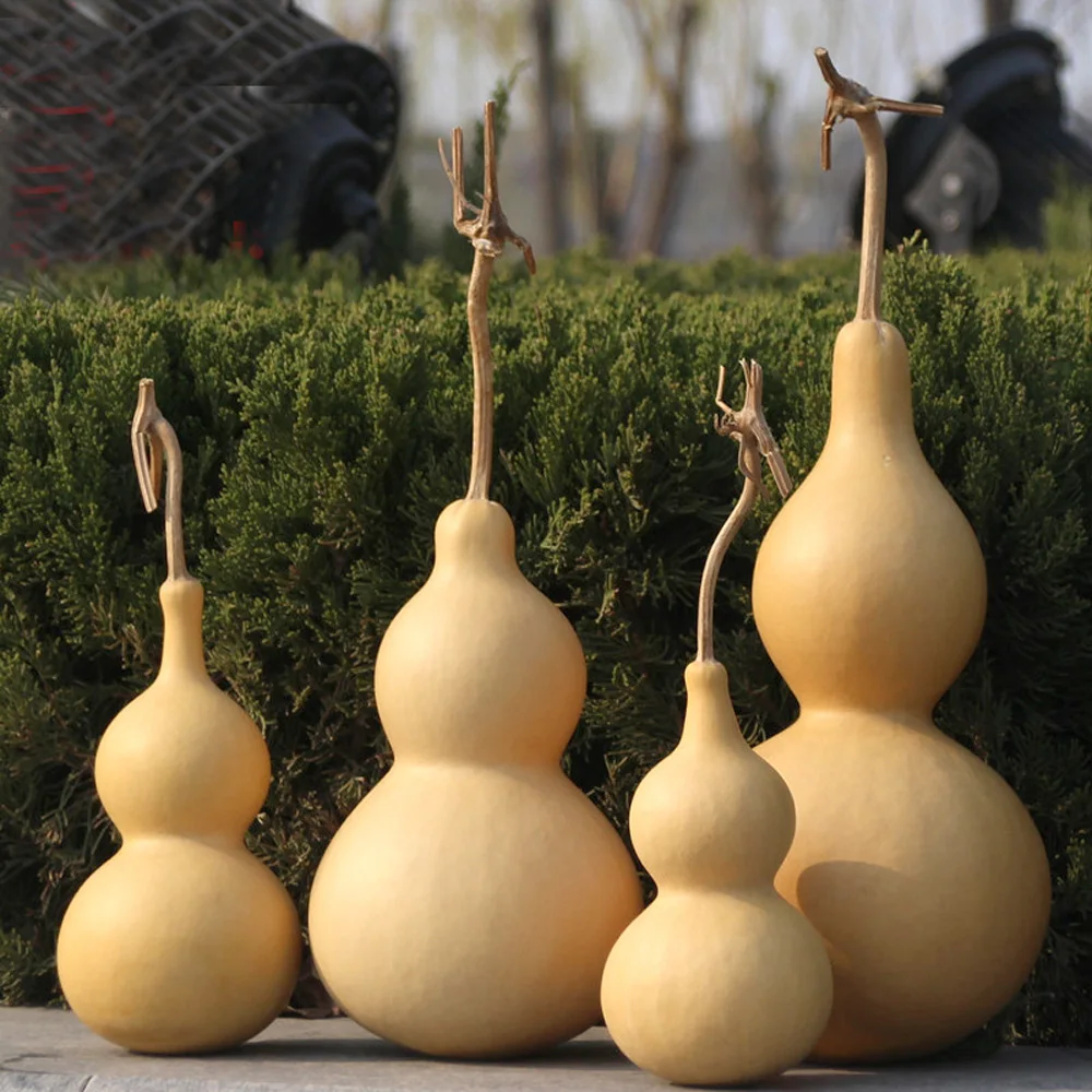 every size natural dried calabash&cucurbit for home decorations