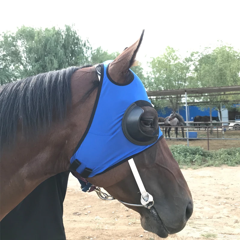 Suministros de arnés Cubierta de arnés, Máscara de ojos a prueba de viento, Gafas de carrera de velocidad, Máscara de malla, A prueba de tracoma, Cubierta de cabeza de caballo, Alta calidad