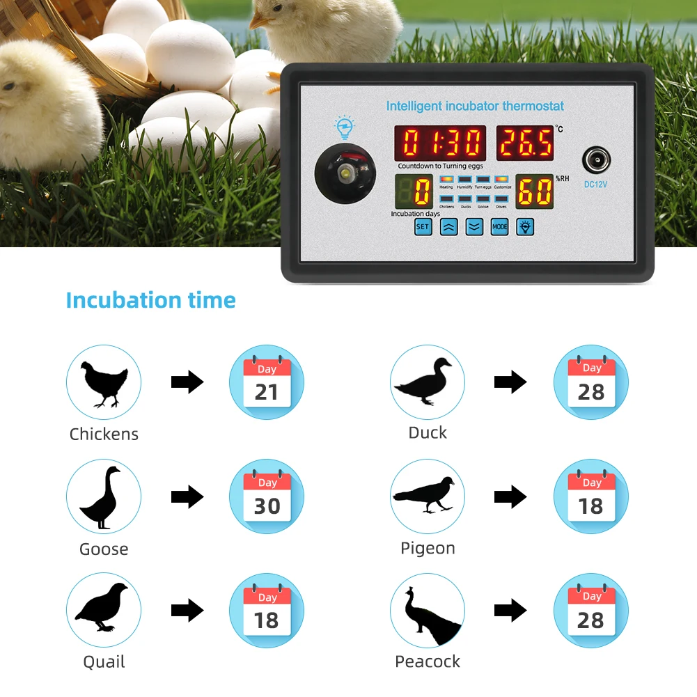 12V/220V Mini Smart Thermostat Automatic Incubator Control System Temperature Humidity Control for Farm Chickens Ducks Geese