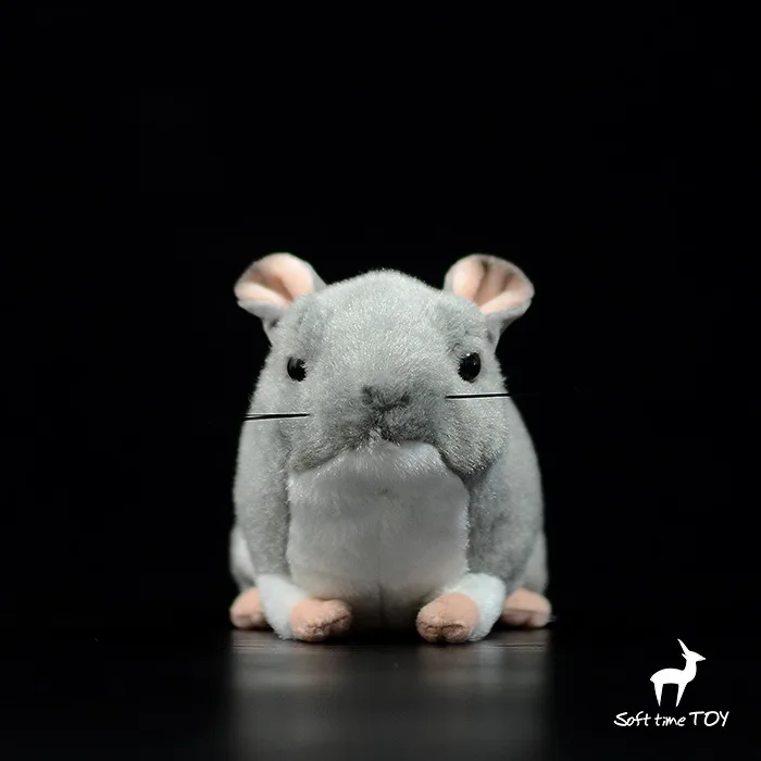 small  gift    model  Chinchilla  velvet mouse