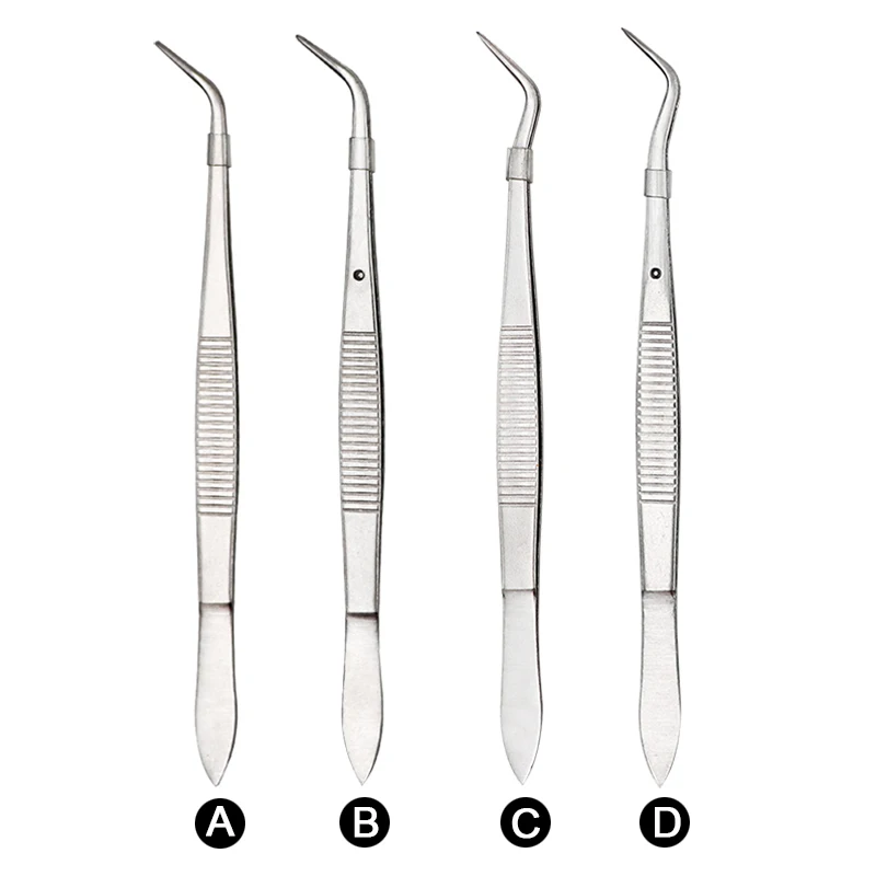 3/1 sztuk pęseta dentystyczna ze stali nierdzewnej chirurgiczna ząbkowana zakrzywiona pęseta szczypce kleszcze cztery rozmiary wybielanie zębów narzędzia dentystyczne