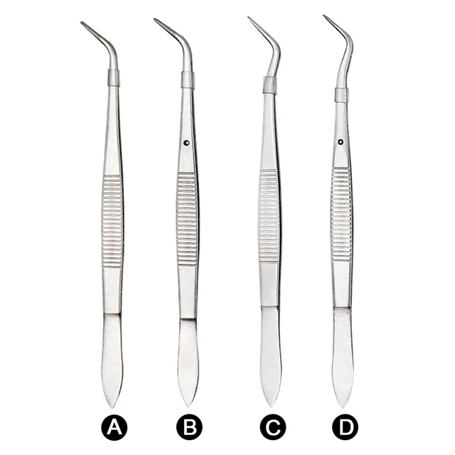3/1 sztuk pęseta dentystyczna ze stali nierdzewnej chirurgiczna ząbkowana zakrzywiona pęseta szczypce kleszcze cztery rozmiary wybielanie zębów narzędzia dentystyczne
