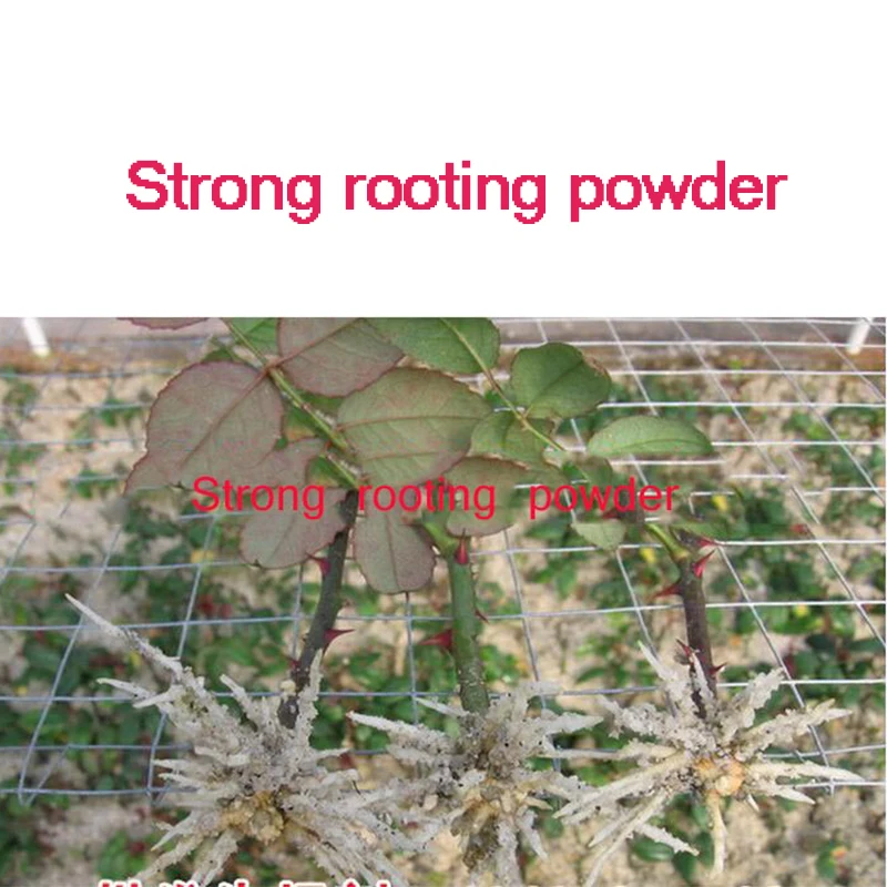 2pcs Flower Strong rooting powder growing roots seedling strong recovery root vigor germination aid fertilizer Garden medicine