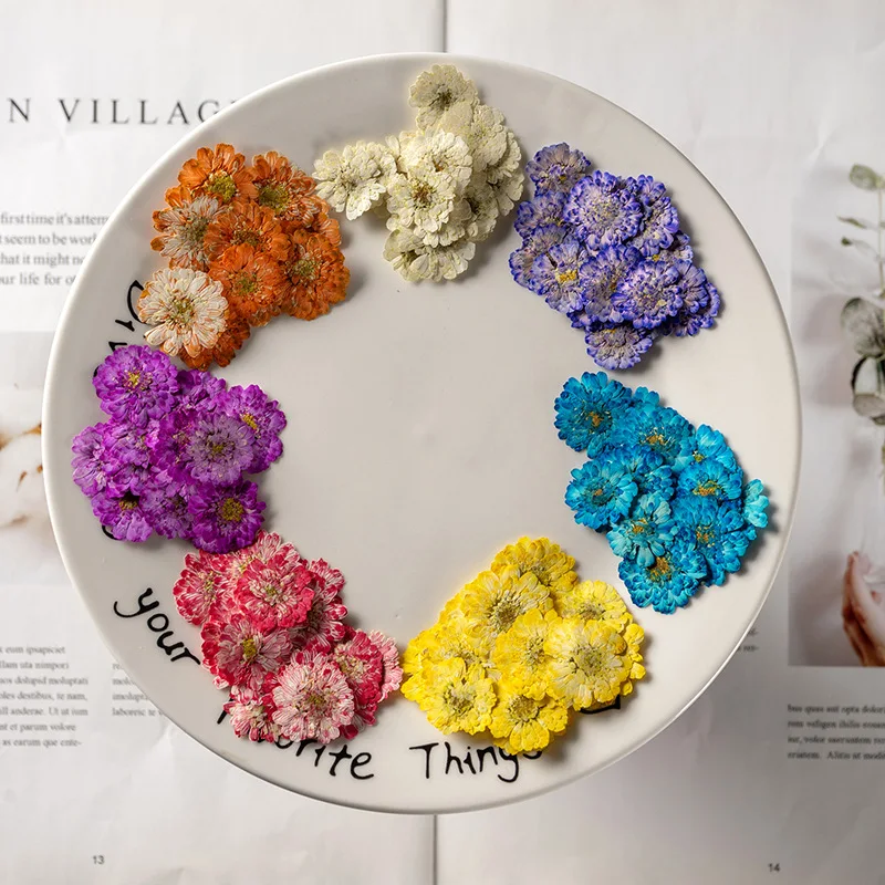 120pcs Pressed Dried Flower Dye Chamomilla Herbarium For  Epoxy Resin Face Make UP Nail Art Jewelry Bookmark Phone Case Card DIY