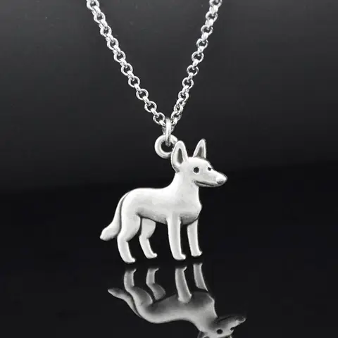 10 best sales Australisk nötkreaturshund - №9