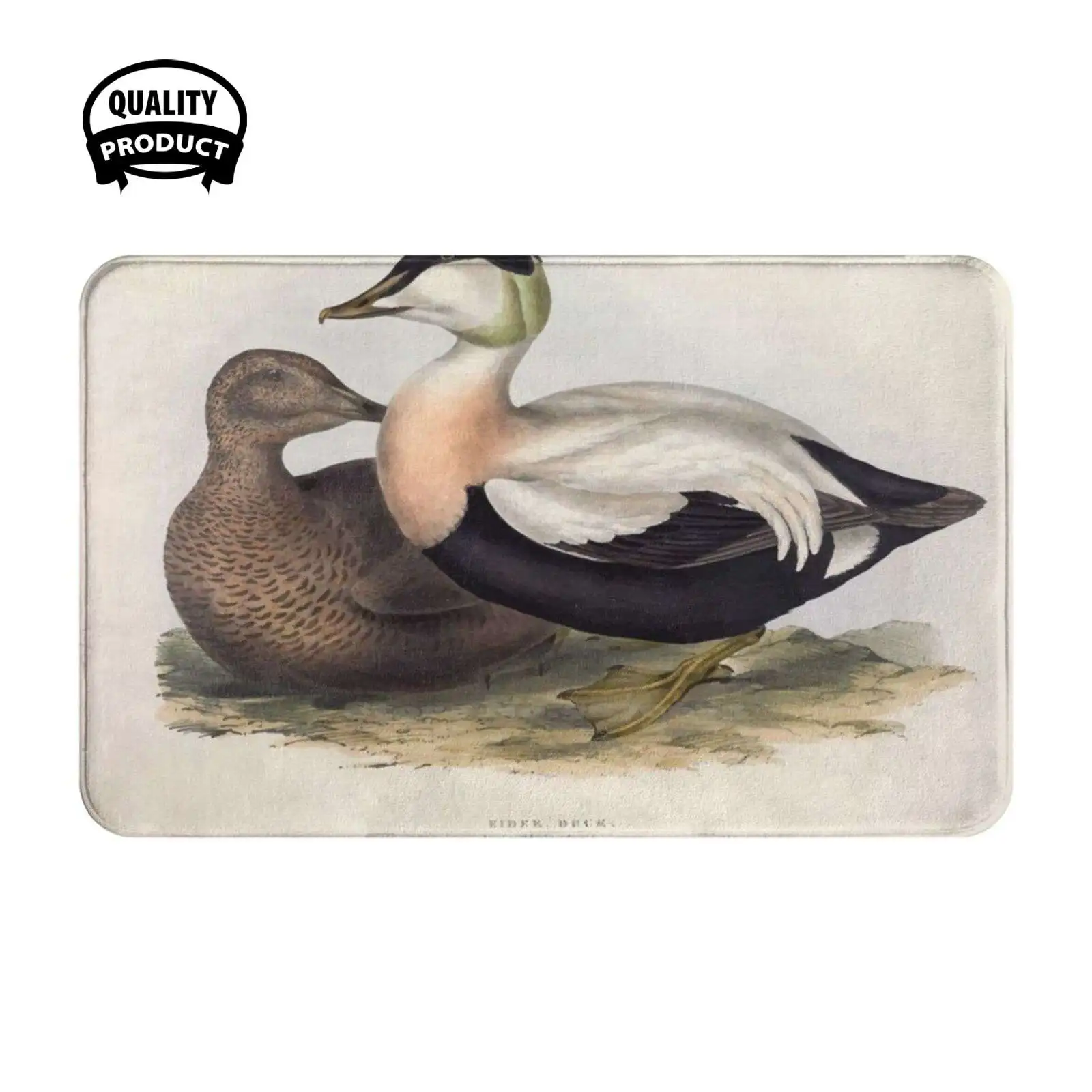 John Gould The Birds Of Europe 1837 V1 V5 374 Duck Soft Cushion Home Carpet Door Mat Car Rug John Gould Birds Europe 1837 V1 V5