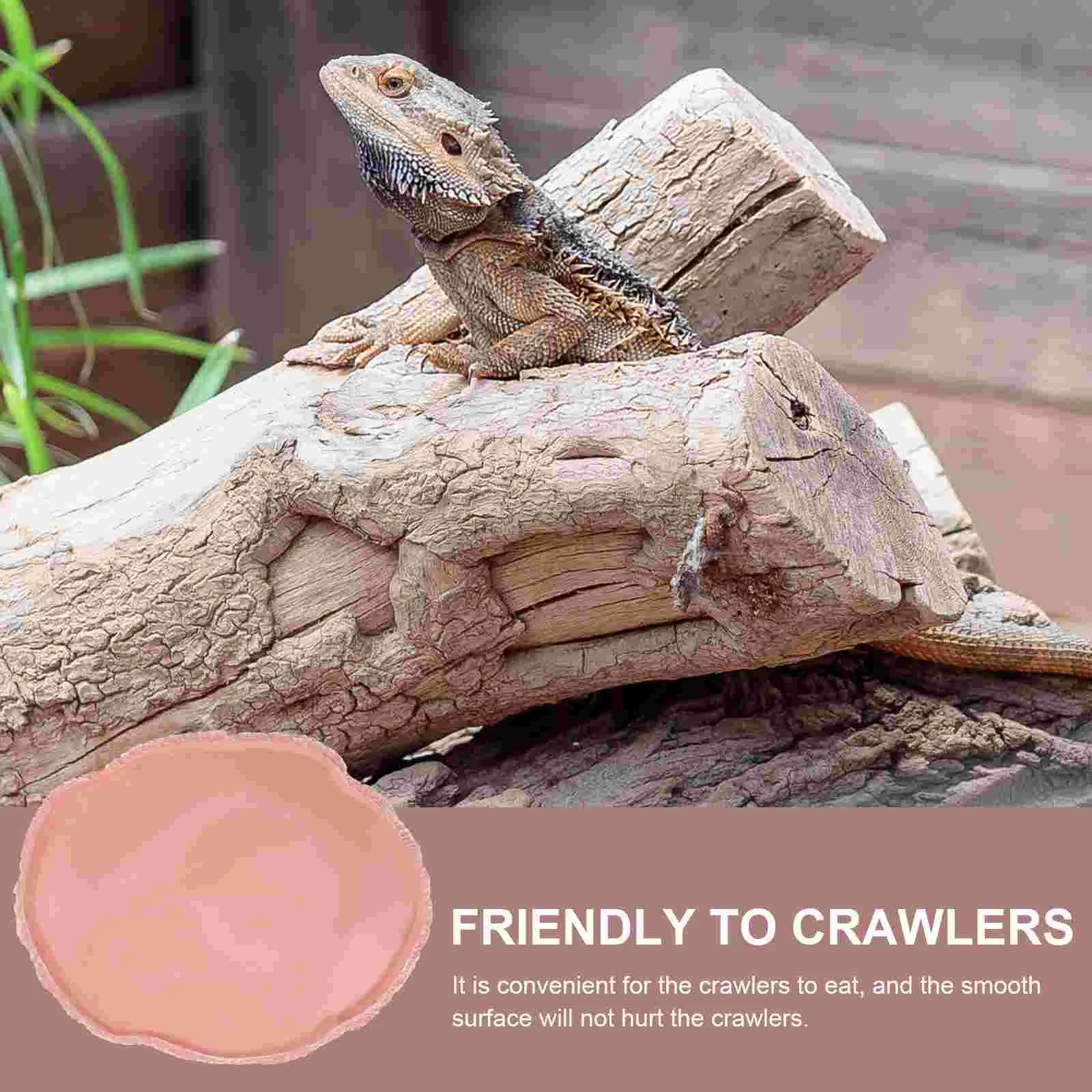 Bowl Water Reptile Dishtortoise Pet Pets Turtle Vivarium Tray Bowls Breedingsnake Feeding Shallow Resin Large Care Plate