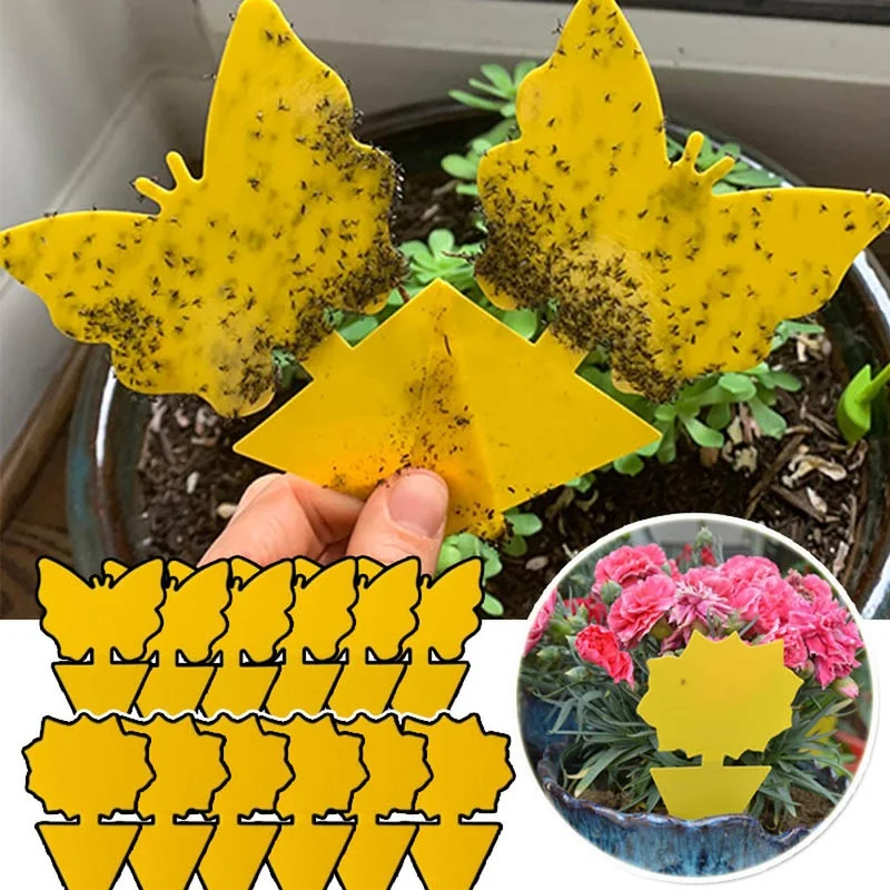 Fungus Gnats Insect Dual Sided Catcher Plant For Aphids Strong Glue Non Toxic Sticky Traps Yellow Pest Control Garden Fruit Fly