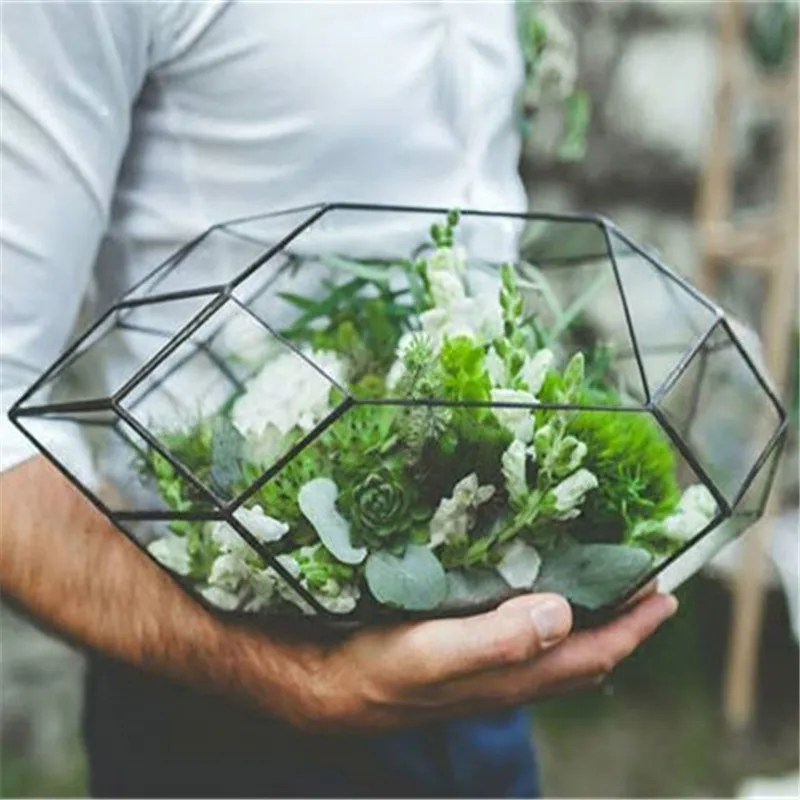 Handmade Glass Terrarium / Modern Planter for Indoor Gardening / Geometric Crystal Shape Orchid Planter Table Greenhouse