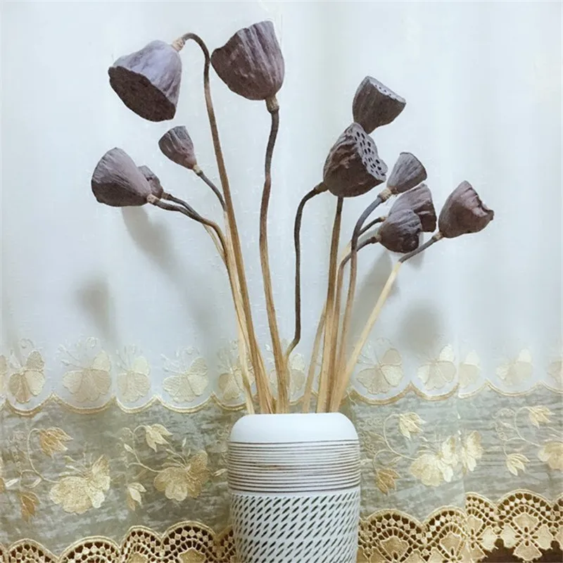 10pcs Dried flower lotus pods with stems bonsai decor seedpod of lotus real plants flowers for home decorNo vase