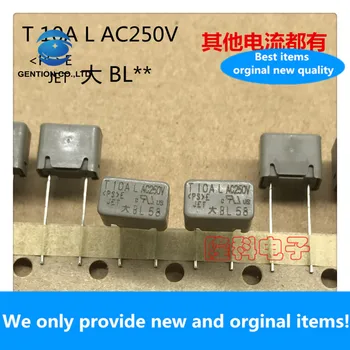 10PCS 100% Nuovo originale BL100 piazza grande volume fusibile T10AL AC250V grande BL 10A 250V grigio Dadong importato