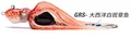 GRS