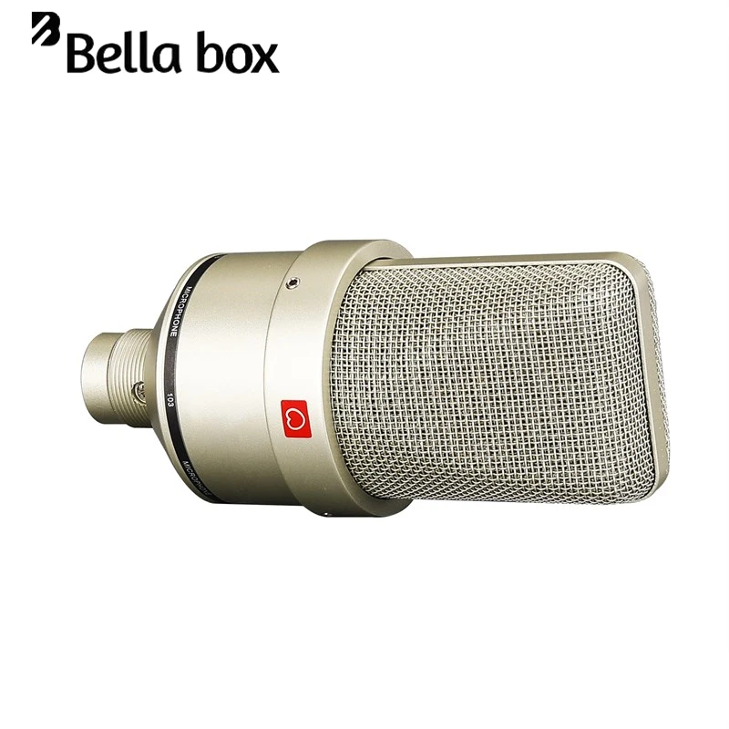 NeuTLM103 Norman Capacitive Recording Microphone Large Diaphragm Host Live K-Song Microphone Silver Grey with Shock Mount