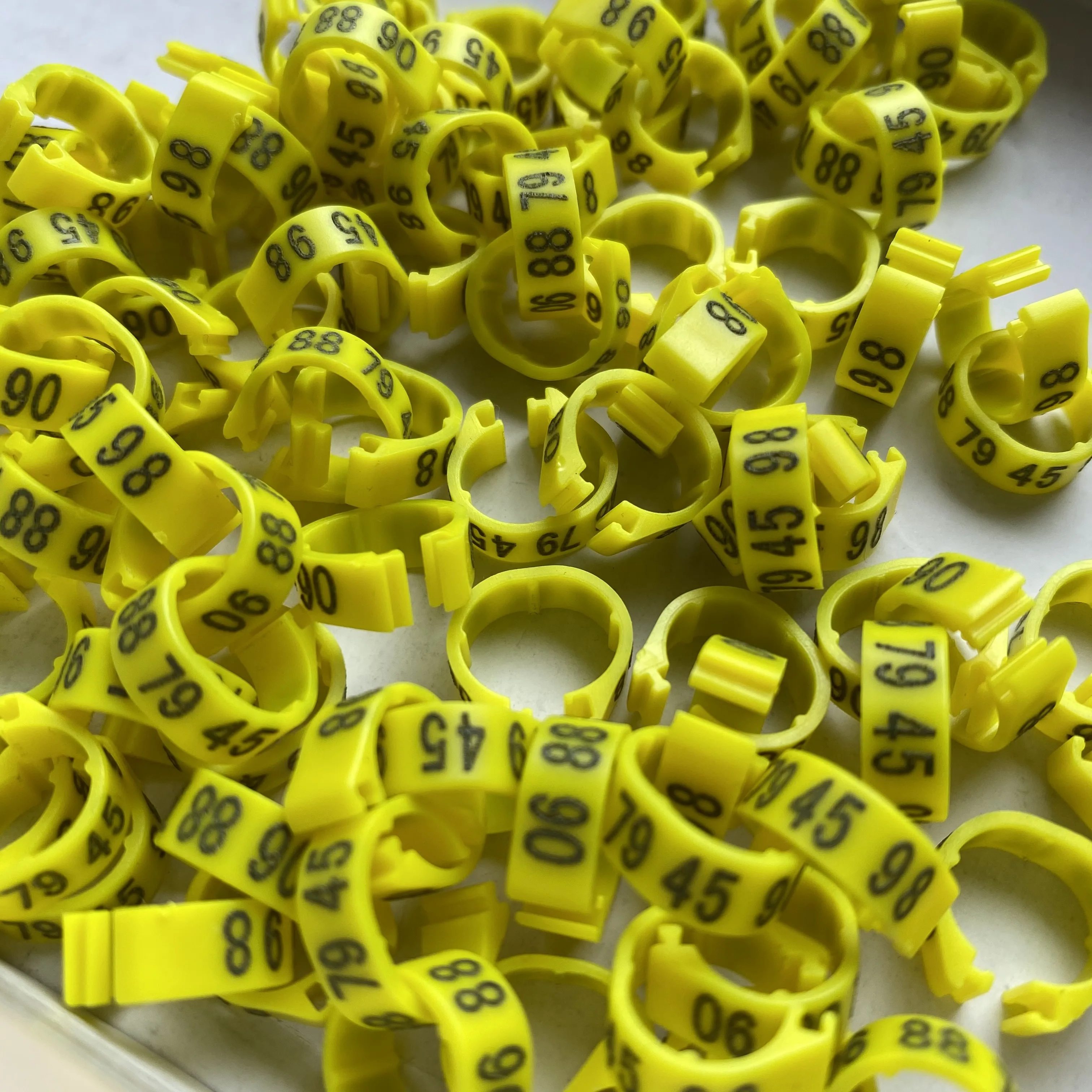 Wholesale/retail C8 8mm Bird Dove Pigeon Plastic Leg Rings Custom Plastic Lettering Rings  Black/Red/Blue/Green/Gold