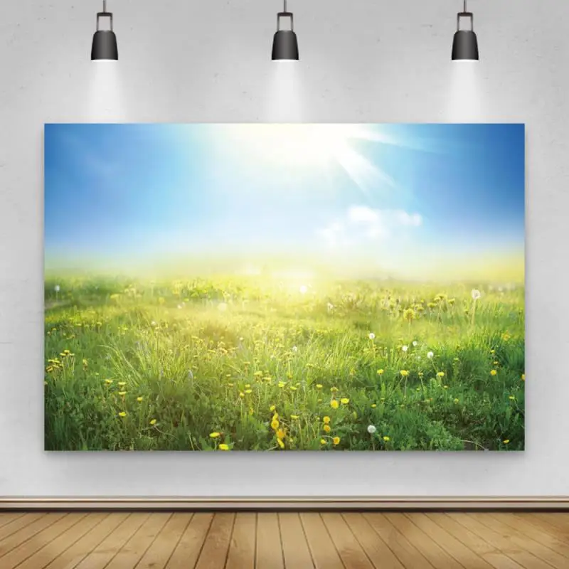 Laeacco Spring Rural Park Photography Backdrops Light Grass Room Decro Portrait Nature Scenic Photographic Backgrounds Photozone