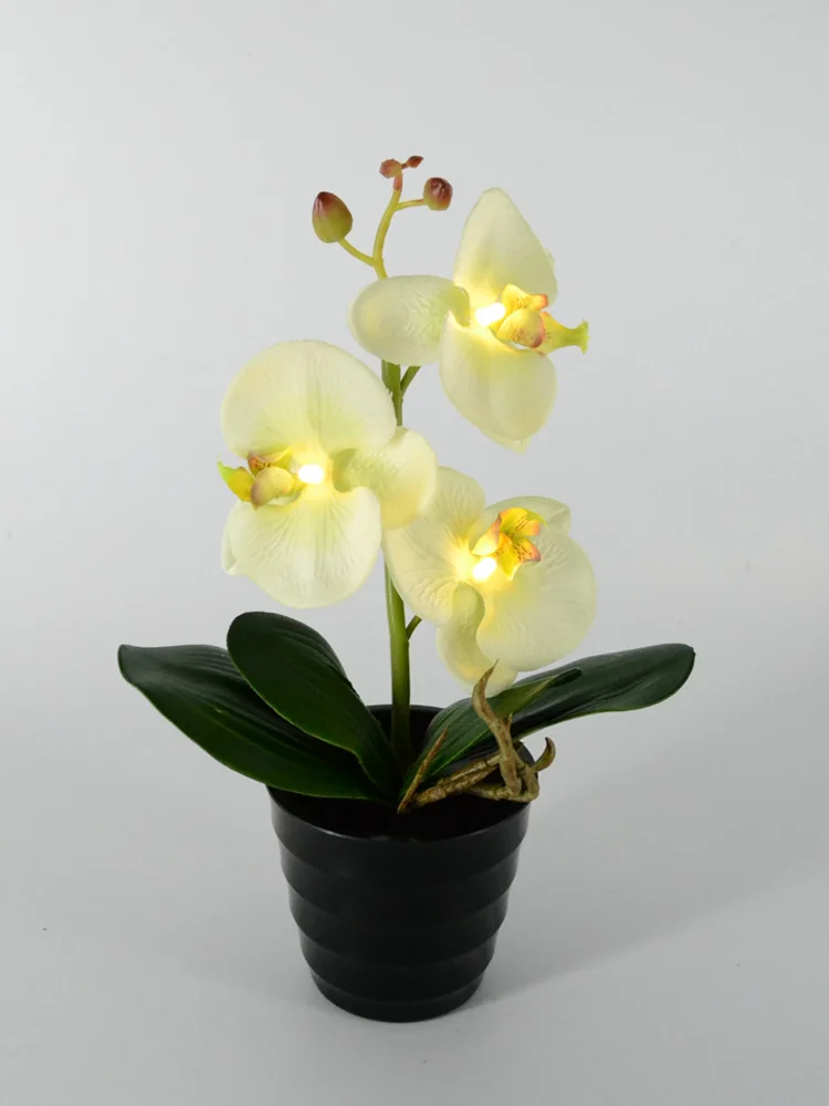 3 LED Battery Lighted Blossom Phalaenopsis orchid in pot Orchid Flower Bonsai Holiday Wedding PartyHome Decoration Birthday Gift