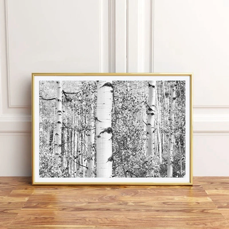 Birch Tree Forest Art Print Farmhouse Decor Black and White Rustic Wall Art Canvas Painting Nordic Poster Wall Picture for Home