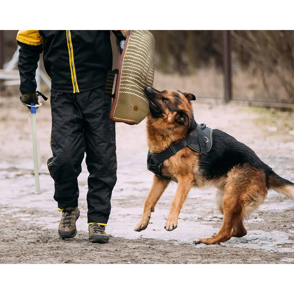 Dog Training Arm Sleeve Professional Dog Training Set Whip Agitation Stick for Large Big Dogs Training Safe Protection Sleeve