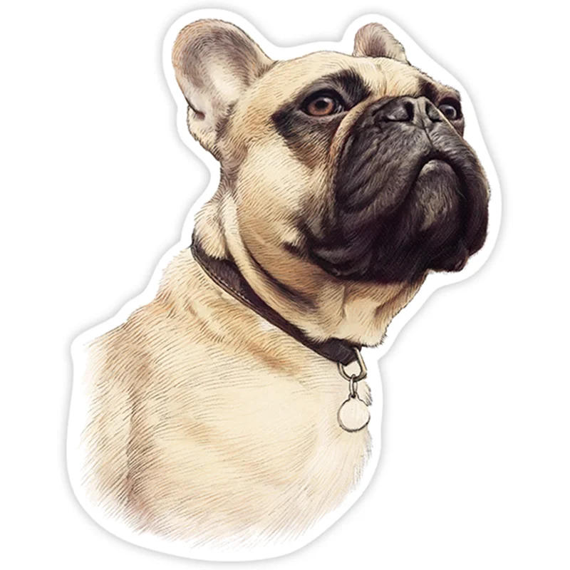 S40235# Various Sizes PVC Decal French Bulldog Ochre Car Sticker Waterproof on Bumper Rear Window Laptop Refrigerator Toilet