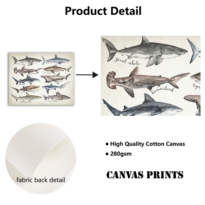 Sharks of The World Art Canvas Prints Great White Shark Poster Mako Hammerhead Tiger Bull Basking Whale Painting Bathroom Decor