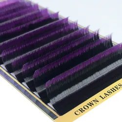 2tones Ombre Purple Volume Lash C D-0.10 0.15 7-15mm Dual Color Gradient Effect CrownLash Eyelash Extensions