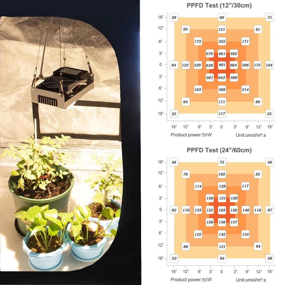 CXB3590 COB LED Grow Light Full Spectrum 200W 3500K 85-265V Plant Grow Lamp For Indoor Plants Flowers Hydroponics Grow Tent