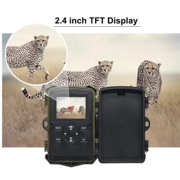 H903 5Mega Pixels 1/2.5" Digital 20m Trigger Distance 12MP Monitor Hunting Trail Game Camera 16 Months Standby Time Night Vision H903 5Mega Pixels 1/2.5" Digital 20m Trigger Distance 12MP Monitor Hunting Trail Game Camera 16 Months Standby Time Night Vision