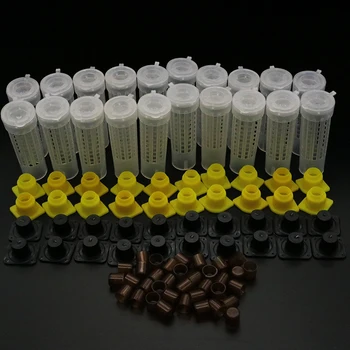 꿀벌 도구 케이지 킹 여왕 사육 Cupkit 시스템 꿀벌 양봉 포수 상자 셀 컵 케이지 니코트 완전한 키트 Apicultura, 1 세트 