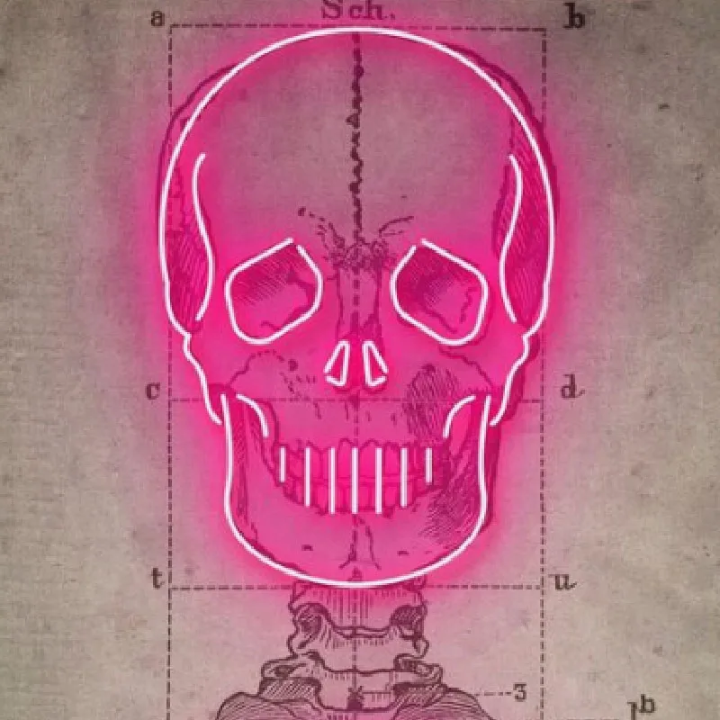 

Neon Signs for Pink Skull Neon Art Bulb Sign Decorate Tattoo Room Wall Window Lamps Handcraft Glass Tubes Art Studio Room Decor