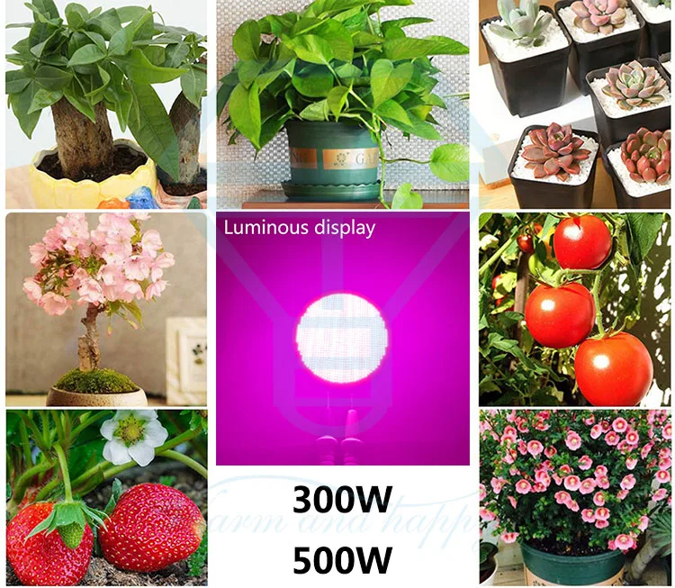 Imagem -06 - Led Crescer Planta Cob Chip Led Fitolamp 300w Espectro Completo Luz 3034v para Plantas ao ar Livre e Iluminação de Estufa de Flores 500w