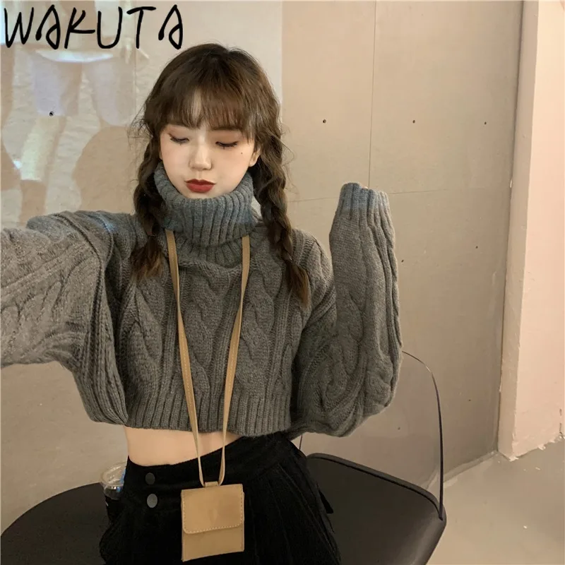 

WAKUTA Turtleneck Neck Grey Long Sleeve Cropped Sweaters Streetwear Showing Belly Chic Knitted Pullovers 2024 Autumn Warm Tops