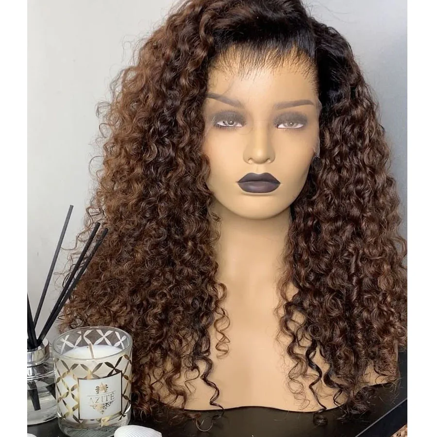 Ombre Pre Plucked 360 Lace Frontal Human Hair Wigs with Natural Hairline Dark Brown Bouncy Curly 13x6 Lace Front Wigs Remy