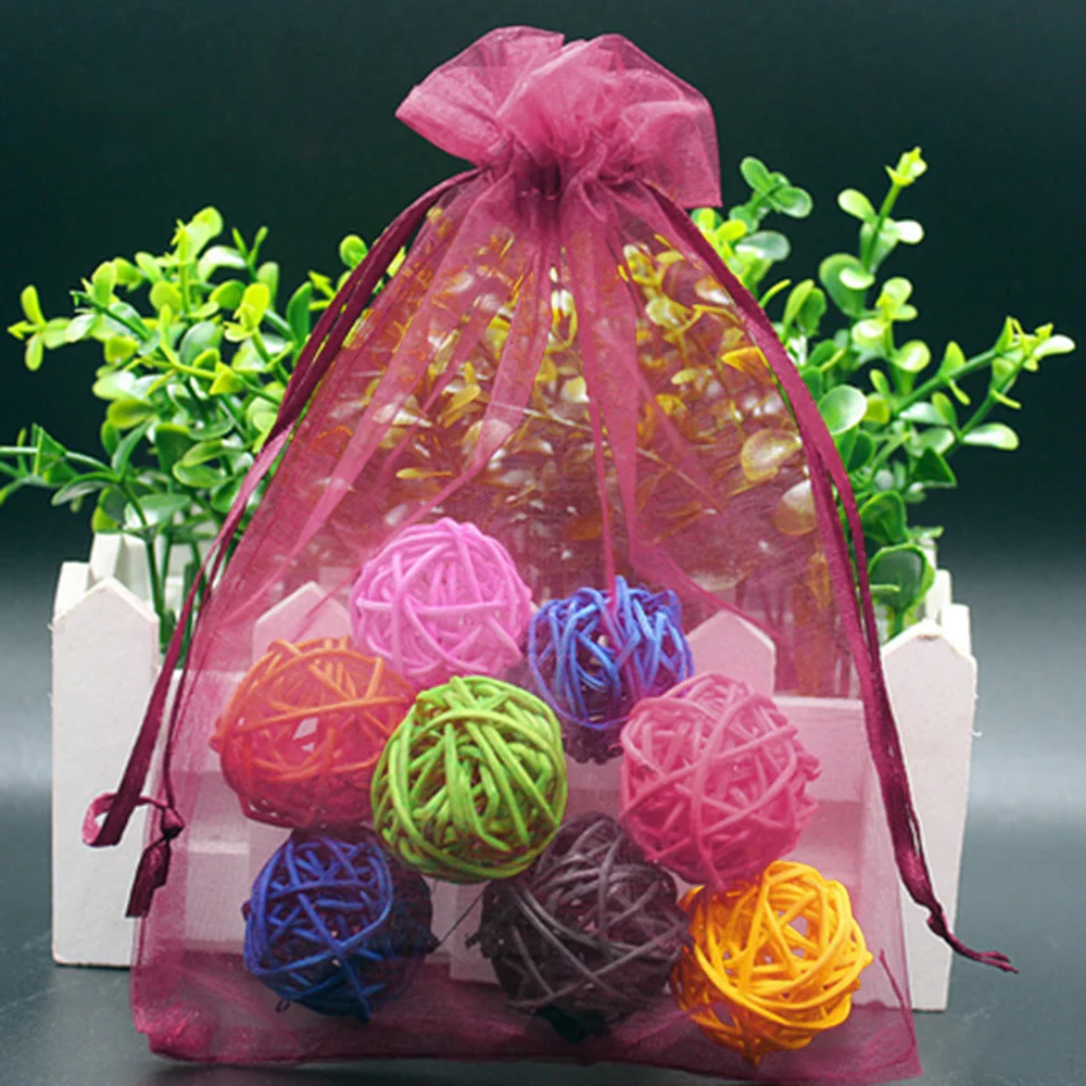 Garden Vegetables Fruit Grow Plants Protection Bags Anti-Bird Gardening Drawstring Netting Candy Grape Apple Mesh Pouch