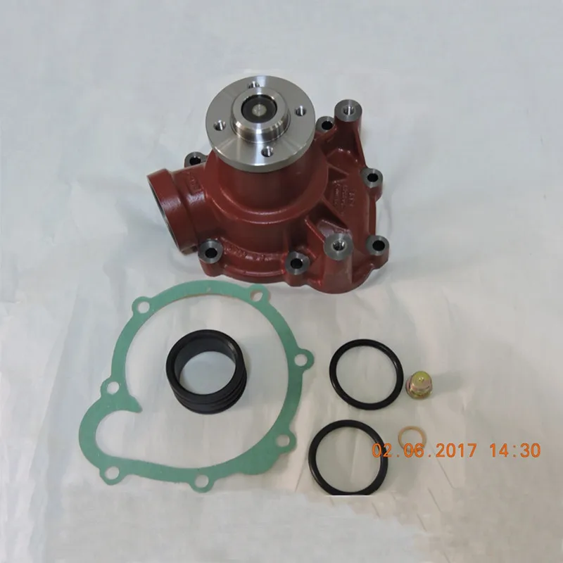 Pompa idraulica 04256959 dei pezzi di ricambio del motore di Deutz per i motori 2012 1013